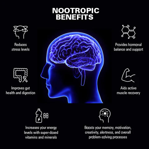 Unlock Your Cognitive Potential: The Benefits of Ayurvedic Nootropics for Modern Men